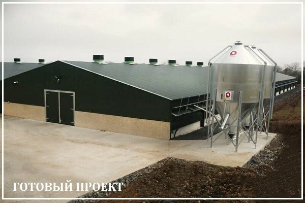 Этапы возведения птицефабрики от завода ВелесТент-срп